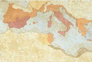 Map of the territories under Roman rule after the Second Punic War (218-201 BC), including Spain, Northern Africa, Greece, Asia Minor and Egypt, drawing Map of the territories under Roman rule after the Second Punic War (218-201 BC), including Spain, Northern Africa, Greece, Asia Minor and Egypt, drawing