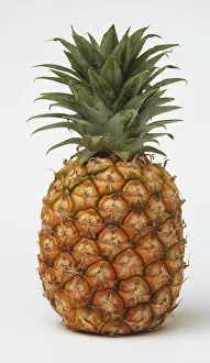 A pineapple